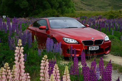 If you go down in the woods today . . . The BMW M6 almost disguised in the lupins